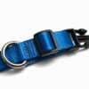 Collar D Ring 1 Pet Collar Neon (Large 40-60cm)