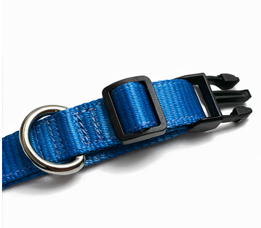 Collar D Ring 1 Pet Collar Neon (Large 40-60cm)