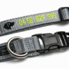 Embroidery and Latch Close Up 1 Pet Collar Neon (Large 40-60cm)
