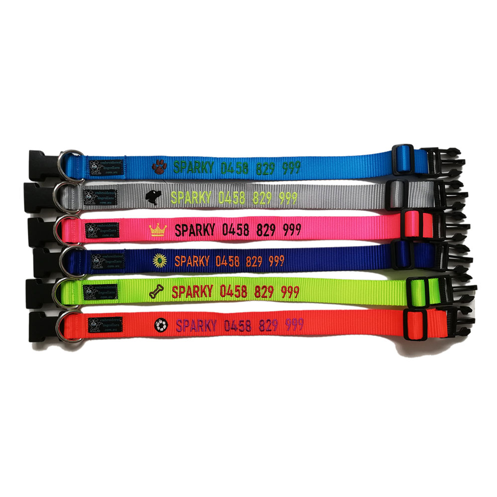 Neon Collars