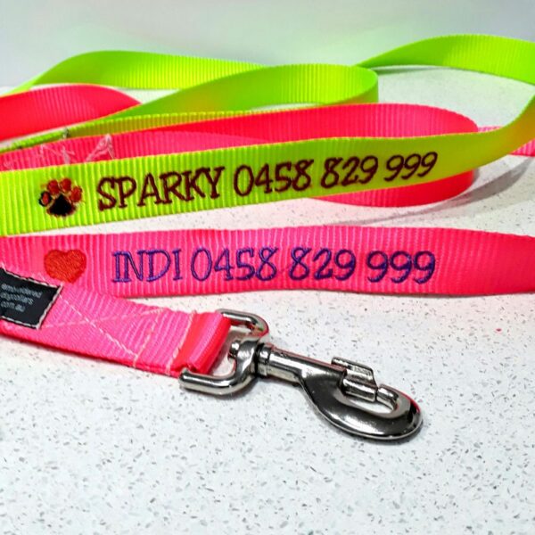 Pet Lead: Neon 25mm (Lead Length 120 cm)